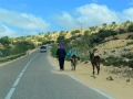 33 Fahrt Essaouira - 1193