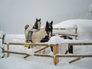 berchtesgaden-februar-09-137