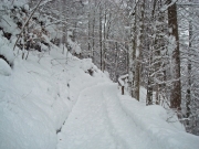 berchtesgaden-februar-09-148