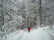 berchtesgaden-februar-09-152