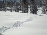 berchtesgaden-februar-09-217