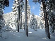 berchtesgaden-februar-09-218