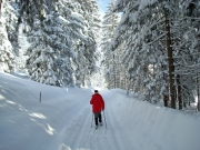 berchtesgaden-februar-09-219