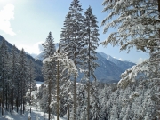 berchtesgaden-februar-09-222