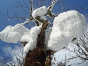 berchtesgaden-februar-09-243