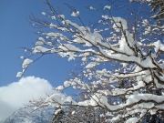 berchtesgaden-februar-09-244