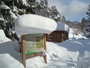 berchtesgaden-februar-09-279