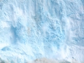 Grönland 2016 Web 1488