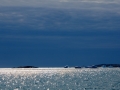 Grönland 2016 Web 1536