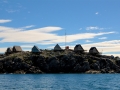 Grönland 2016 Web 1384