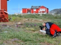 Grönland 2016 Web 1396