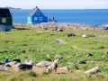 Grönland 2016 Web 1403