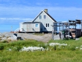 Grönland 2016 Web 1418