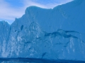 Grönland 2016 Web 1440
