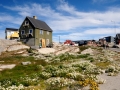 Grönland 2016 Web 1179