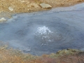Island 2016 Web 0806