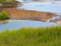 Island 2016 Web 0809
