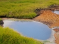 Island 2016 Web 0810