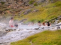 Island 2016 Web 0821