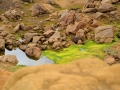 Island 2016 Web 0875