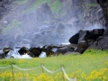 Island 2016 Web 0209