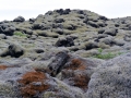 Island 2016 Web 0291