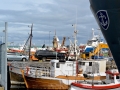 Island 2016 Web Reykjavik Rest 0003