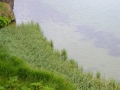Island 2016 Web 0701