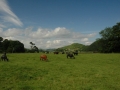 kilmartin-1029
