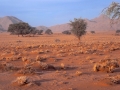 Namibia-Suedafrika 2016 Endurotour047