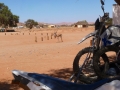 Namibia-Suedafrika 2016 Endurotour076