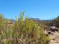 Namibia-Suedafrika 2016 Endurotour515