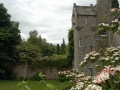 cawdor_castle-496
