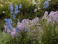 cawdor_castle-514
