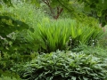 cawdor_castle-528
