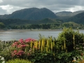 inverwe_gardens-718