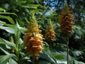 inverwe_gardens-725