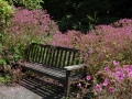 inverwe_gardens-739