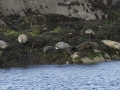 kyle_of_lochash-918