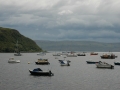 portree-812