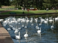 loch-lanak-1378