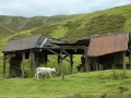 wanlockhead-1297