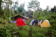 papua-2012-bilder-norbert-0228