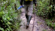 papua-2012-tag11-trekking-1184