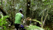 papua-2012-tag11-trekking-1199