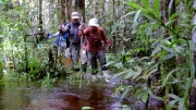 papua-2012-tag11-trekking-1220