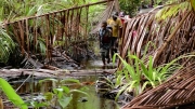 papua-2012-tag13-kuruwai-1374
