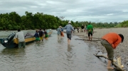 papua-2012-tag15-mapulsiret-1465