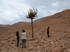 chile-2013-tag-03-5-fahrt-0409