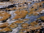 chile-2013-tag-04-2-lauca-np-0537